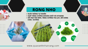 QUÀ XANH VIỆT